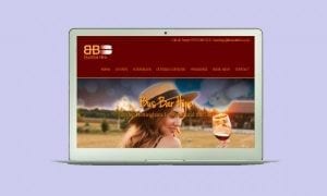 Our latest Derby Website Design Company Project - Bus Bar Hiire